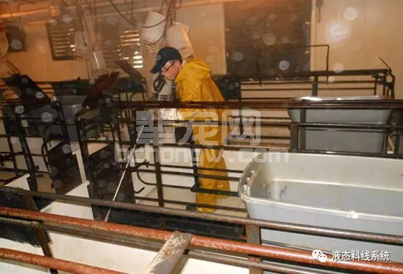 美国猪场的7大技术,你的猪场能用几条?