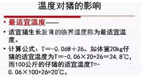 谁把握了猪舍的温度，谁就把握了猪群！