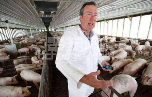 中国养猪业不能照抄美国模式，否则，那么多农村养猪人怎么办？