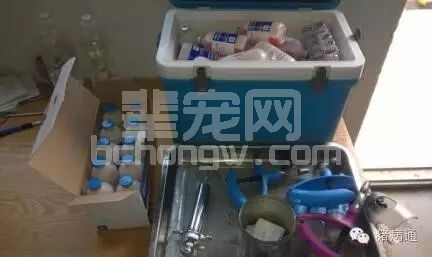 养猪人花钱买最好的疫苗，如何让它发挥出最好的效果？
