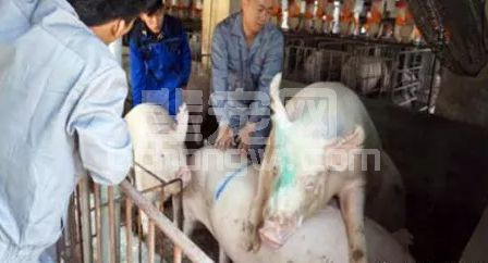 “老配早，小配晚，不老不小配中间”，到底是啥意思？