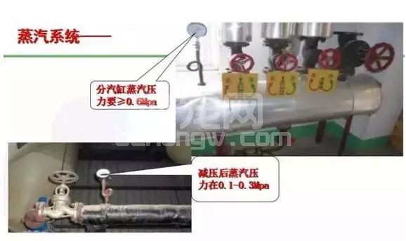 技术|饲料制粒过程中的水分控制