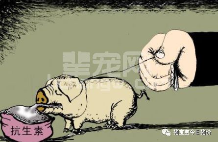 警惕“超级细菌”，养殖人千万不要“无知而无畏”！