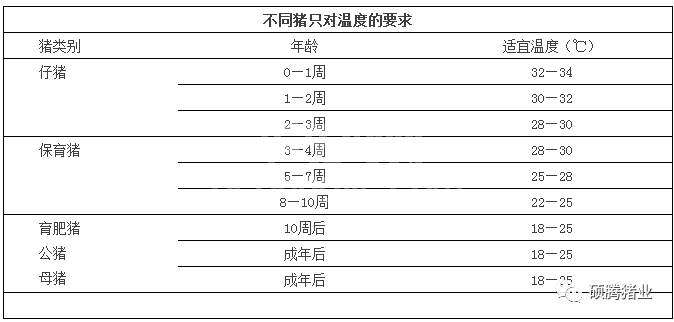 冬季猪场如何处理好保温与通风的平衡，真的两难全吗？