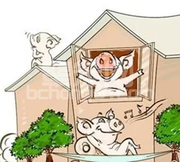 噪音对于猪伤害不小，赶紧看看吧！