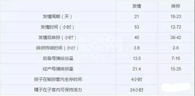 规模猪场空怀母猪催情最全的方法，值得收藏！