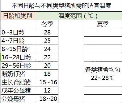 合理控制猪舍温度，提高养猪效益，你能做到吗？