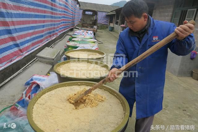 猪场用同样的饲料，为什么有的养猪人喂出来的猪就长肉多，收入高