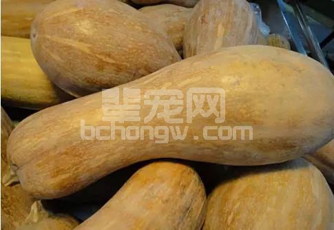这几种蔬菜用来喂猪效果不比几千元的保健药差