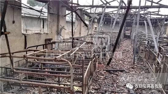 痛心，一场大火烧掉四川这个猪场上百万！赶紧检查这6点你做好没