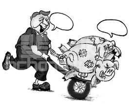 卖一头猪竟有44到100块的差价？卖猪原来有这么多“门道”！