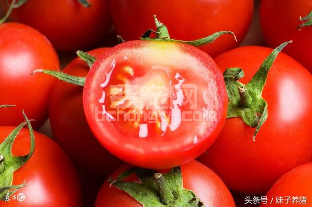 农村里面5种没用的垃圾，养猪人却用来喂猪，降低百10%的成本