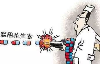 猪用抗生素，保健还是治疗？