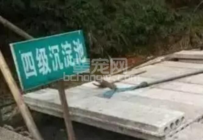 猪场的废物危害和如何处理废弃物的方法