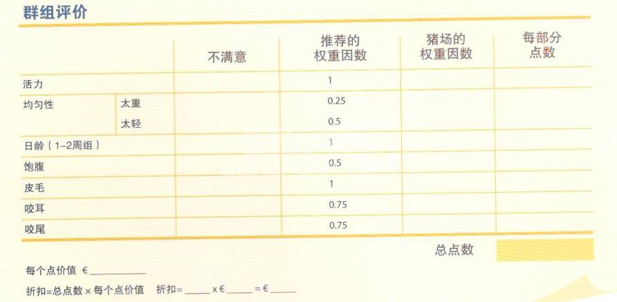 购买仔猪时应该检查哪些方面？