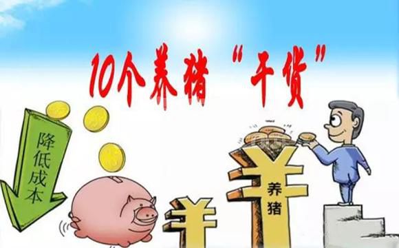 【收藏】10个养猪“干货”，不懂就看看