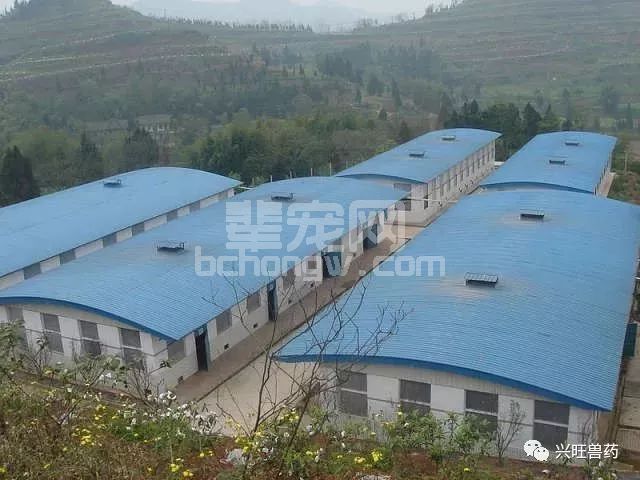 大范围降温，养殖户需要做好8种准备