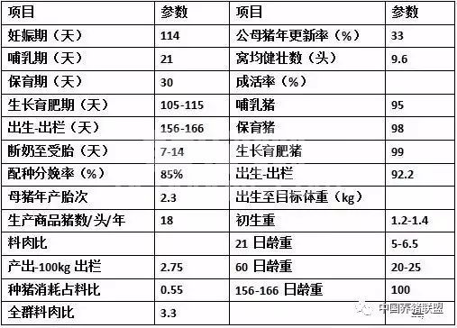 养50头母猪的猪场如何建？需要投资多少钱？