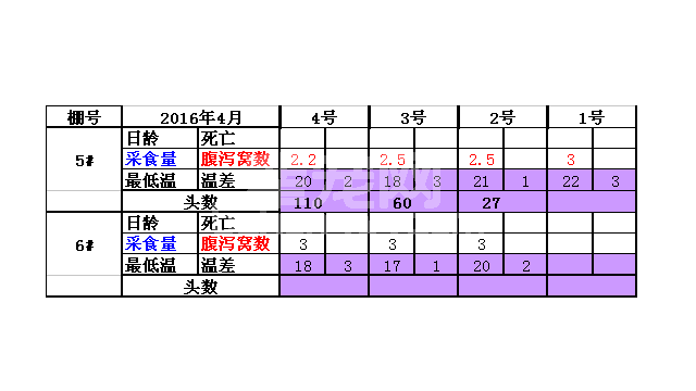 如何提高哺乳母猪采食量？这个套方案绝对靠谱！