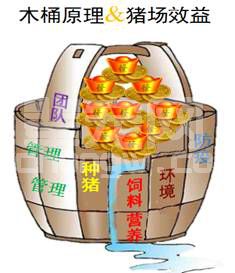 养母猪“高能”法则，产房成活率97%以上靠的是它！