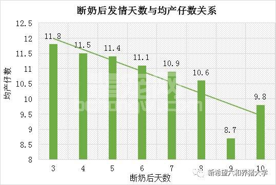 配种效果不佳，看看哪些因素在扯后腿？
