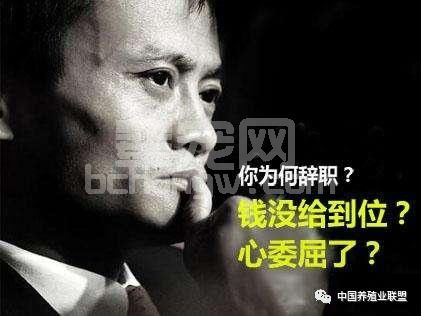 如果养猪人不够忠诚，一定是猪老板做得不够好！
