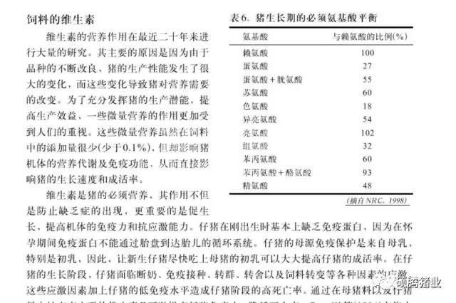 猪只的饲料如何选择？这8大误区一定要知道！