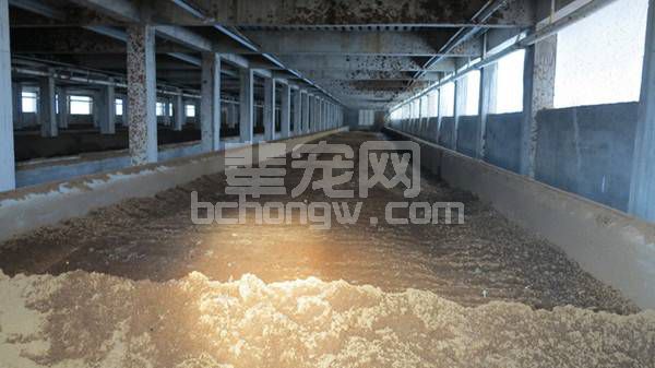 “高床养殖”到底是个什么样的模式？
