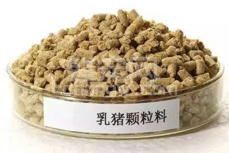 饲料水分没控制好，年损失可达百万！