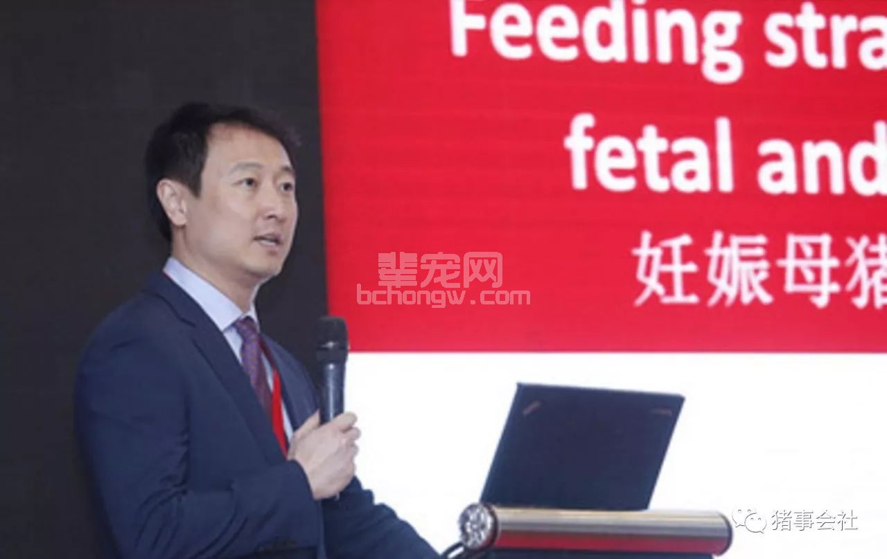 Kim教授：母猪营养对妊娠和泌乳有何影响