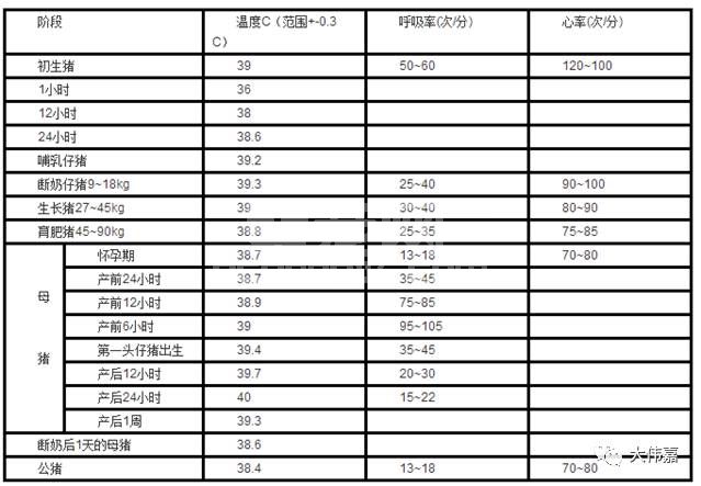 高手总结养猪技术参数，绝对值得你收藏！