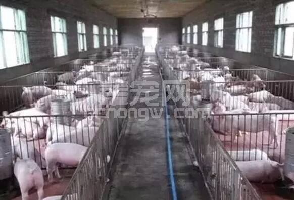 猪场常用水来降温，那该如何控制湿度呢？