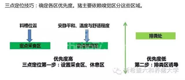 保育育肥舍细节化操作管理