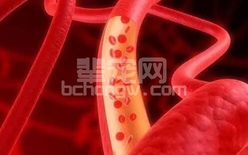 母猪排毒的方法，你知道几招？——连载二
