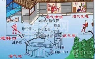 【粪污处理】学会这几招，就能低成本有效的处理猪场污粪和尿场