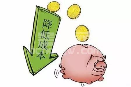 省钱又环保，牧草养猪没想到能省这么多！