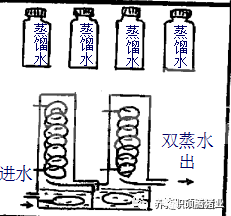 哪些因素会影响猪精液保存的质量？不可不知！