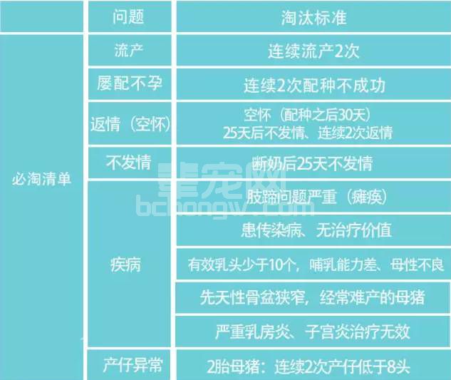 什么样的母猪该被淘汰？方法都在这张表里！
