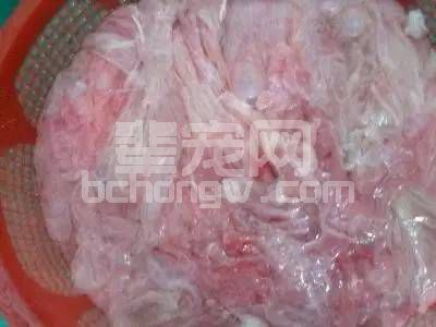 如何检查母猪产后胎盘是否下完？胎盘不下怎么解决?