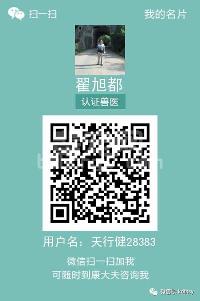 初生仔猪如何过好出生关及哺乳关？护理不当死亡率高达25%！