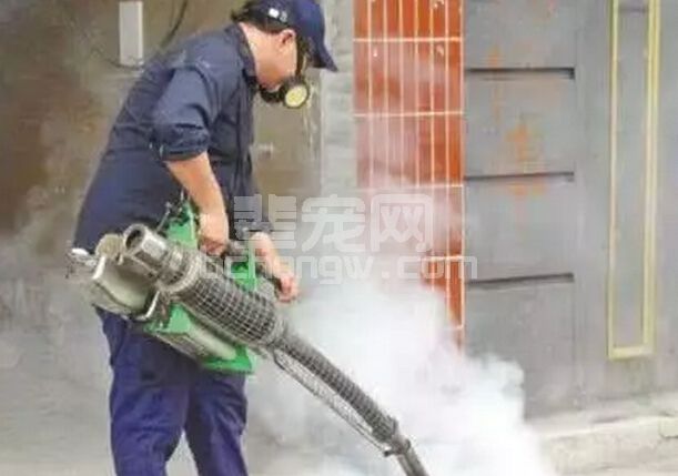 猪场常用消毒剂及其使用方法