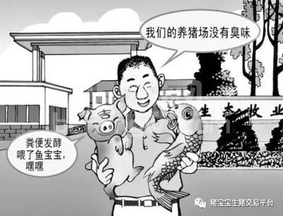 六种养猪场粪污处理模式，还不快学学？