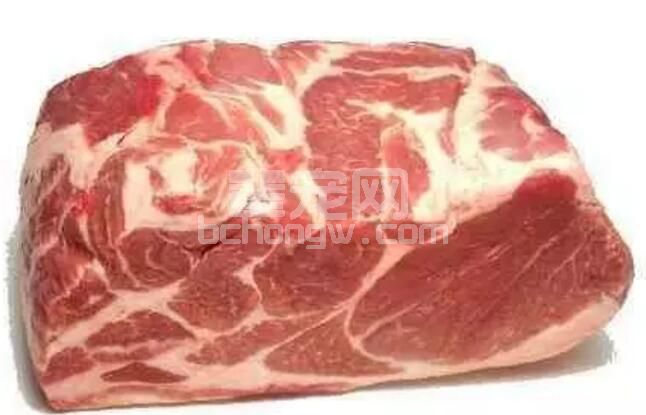养猪增加瘦肉率！最佳的饲料搭配 参考