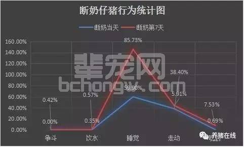 断奶是猪一生中应激最大的时期，教你管理好这三点，让小猪快乐成长