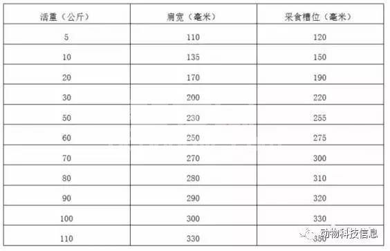 母猪、仔猪管理细节实用经验总结