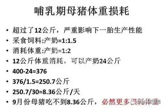 母猪的营养与环境是提高SPY的关键！