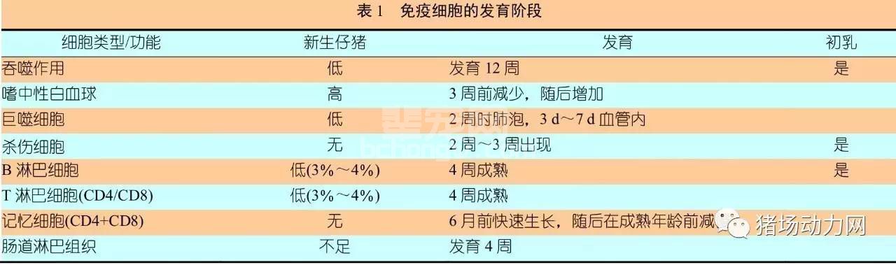 猪场的批次管理——现代猪场先进生产方式介绍！