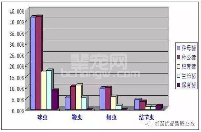 夏日炎炎猪场问题多，驱虫方法你真的掌握了吗？