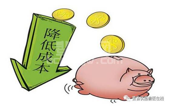新手养猪这么做，让你的猪从小就赢在起跑线上！