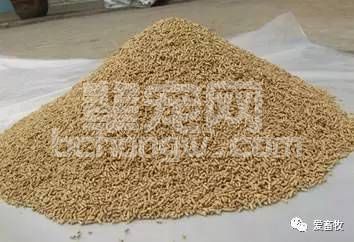 母猪是用粉料还是颗粒料，哪个性价比高？你怎么看？